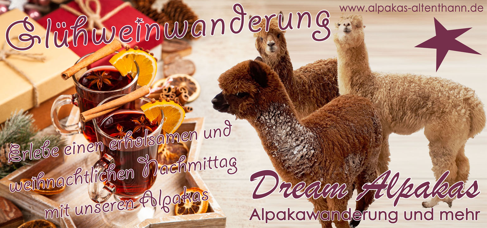 Geführte Alpaka Glühweinwanderung bei Regensburg in 2023 Glühweinwanderung bei Dream Alpakas